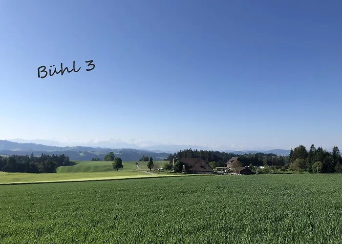 Bühl 3