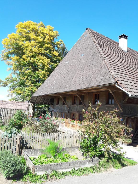 Bühl 3 Bauernhof