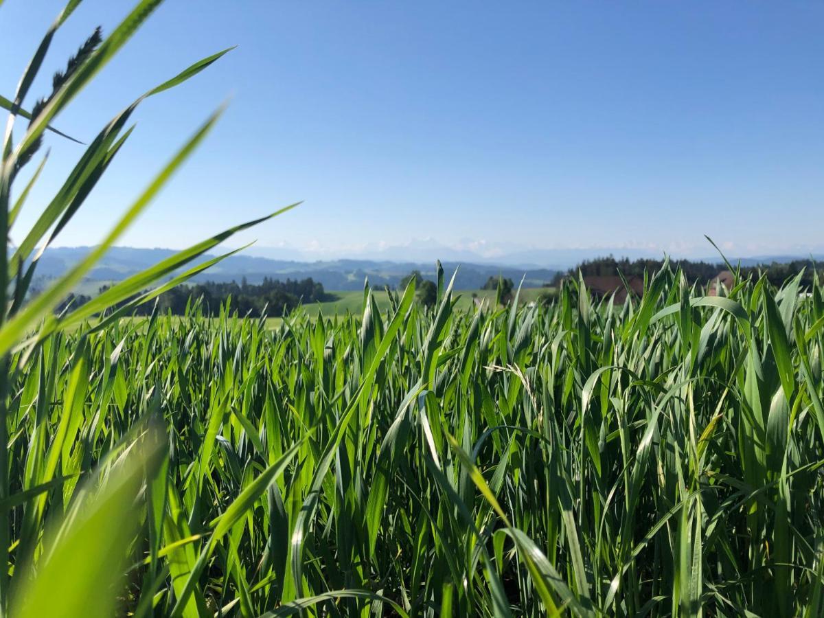 Bühl 3 Bauernhof Affoltern Am Albis