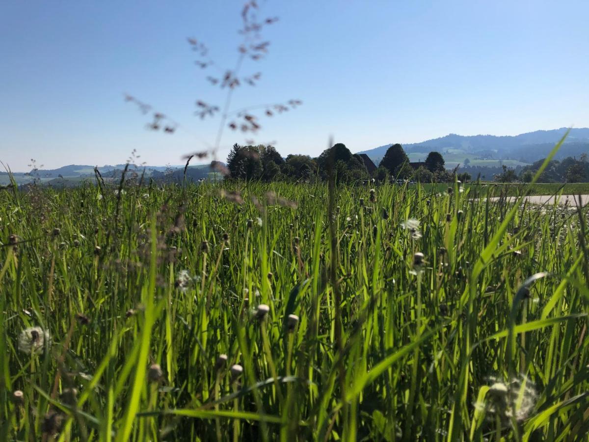 Bauernhof Bühl 3 Affoltern Am Albis
