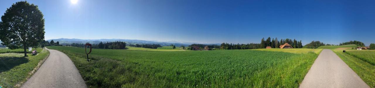 Bühl 3 *